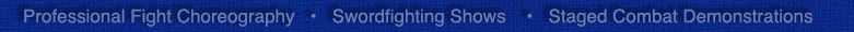 Professional Fight Choreography/Swordfighting Shows/Staged Combat Demonstrations